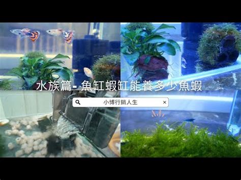 計算魚缸水量|【魚缸計算水量】魚缸水量誤差大？快用「魚缸計算水量」神器，。